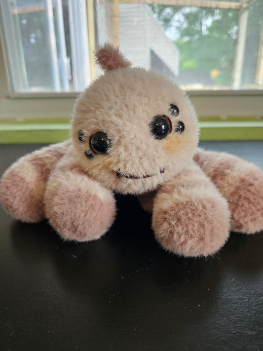 Mocha the Spider